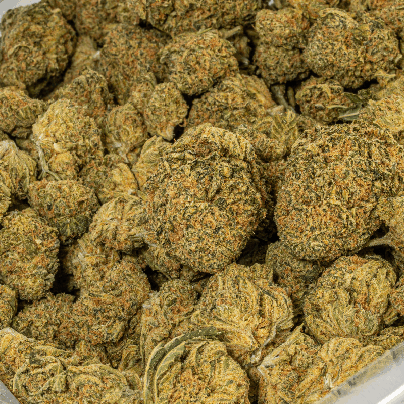 Night Nurse (AA)