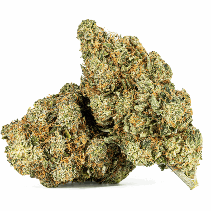 Motor Breath #15 (AAAA)