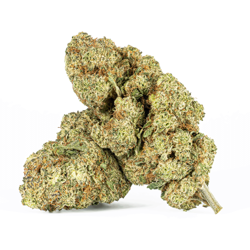Extreme Cream (AAA)