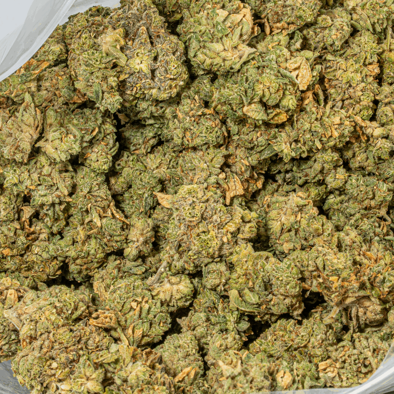 98 Lemon Haze (AA)
