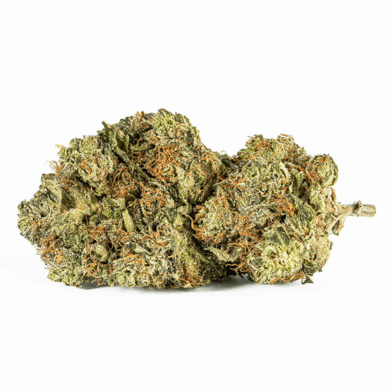 El Jefe (AAA+)