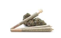 Freebies - Free 1G AAA Flower