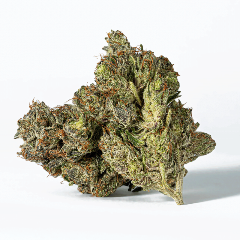 Ghost Ship (AAA+)