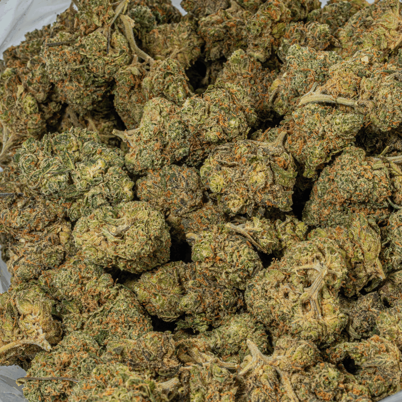 Ayahuasca Purple (AA+)