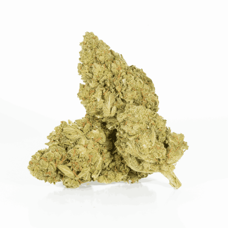 Mango Lemonade (AA)