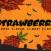 The Strawberry strain is a sativa dominant hybrid that has earned a cult following among cannabis lovers. While its exact genetics remain a mystery, Strawberry is rumored to have influenced the creation of other well-known strains, including the elusive Strawberry Fields. What makes it stand out is its mouthwatering flavor profile that tastes just like a bowl of fresh strawberries topped with sugar and cream, with a subtle earthy finish. The aroma mirrors the taste, delivering a sweet berry bouquet with hints of earth and spice when smoked.