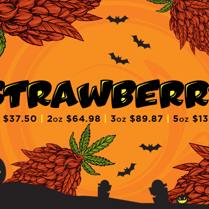 The Strawberry strain is a sativa dominant hybrid that has earned a cult following among cannabis lovers. While its exact genetics remain a mystery, Strawberry is rumored to have influenced the creation of other well-known strains, including the elusive Strawberry Fields. What makes it stand out is its mouthwatering flavor profile that tastes just like a bowl of fresh strawberries topped with sugar and cream, with a subtle earthy finish. The aroma mirrors the taste, delivering a sweet berry bouquet with hints of earth and spice when smoked.